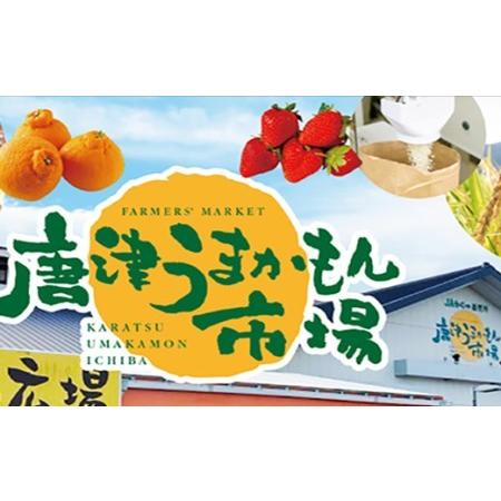 ふるさと納税 佐賀産和牛ミンチ 500g×2パック(合計1kg) ハンバーグ ギフト 佐賀県唐津市