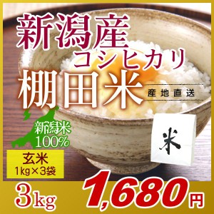 お米 3kg 玄米 棚田米 新潟産コシヒカリ (1kg×3袋) エコ梱包 令和5年産 新米   1kg小分け 米 高級銘柄米 新潟米 ブランド米 新潟 新潟県