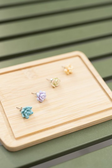 手作樹脂粘土簡約多肉植物耳環 一包四款不同 日常可自由搭配