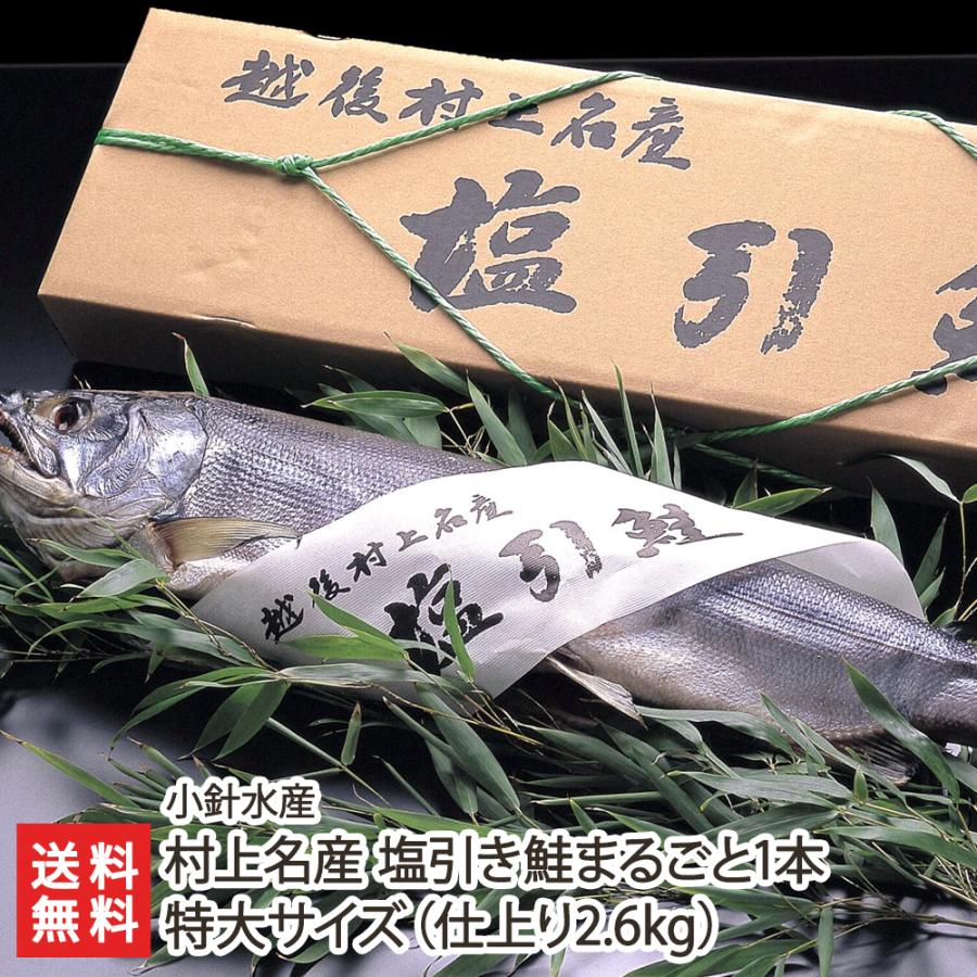 ※仕上り約2.6kg（3枚卸対応可）/小針水産/送料無料　村上名産　塩引き鮭「まるごと1本」特大サイズ　LINEショッピング