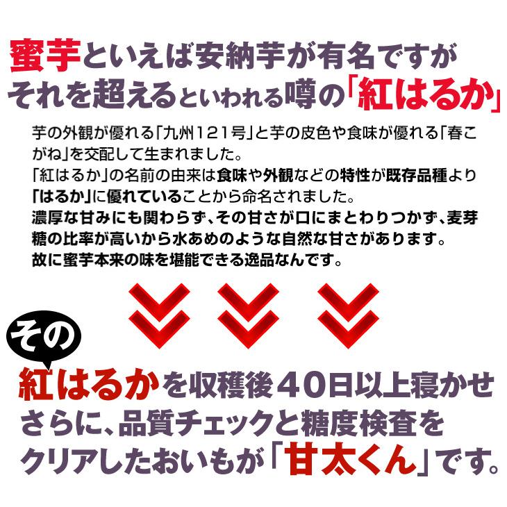 さつまいも 5kg 甘太くん 大分産