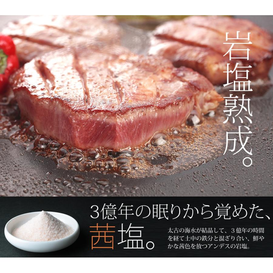 リッチな特上焼肉セット（2〜3人前 560g）黒毛和牛の特上ハラミ＆特上カルビ入りお祝い お歳暮 ギフト