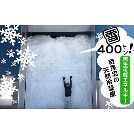 ふるさと納税 雪室貯蔵・塩沢産コシヒカリ10kg(5kg×2袋)　生産者限定 新潟県南魚沼市