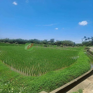 觀音育仁美農地｜桃園市觀音區育仁段