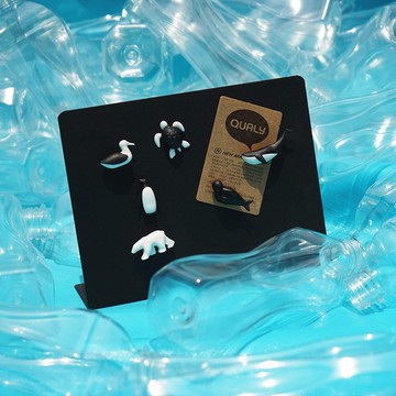 QUALY 拯救海洋-磁鐵(一組6入)