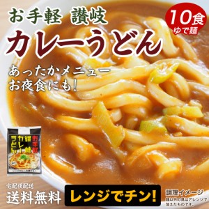 讃岐のカレーうどん10食 讃岐うどん 送料無料 （北海道・沖縄・離島 1500円） ご当地セット 産直 福袋  お中元 夏 ギフ