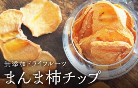 ドライフルーツ 柿チップ 500g 50g × 10袋 和歌山県産 果物使用 自社製造 