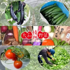 大和情熱野菜の玉手箱