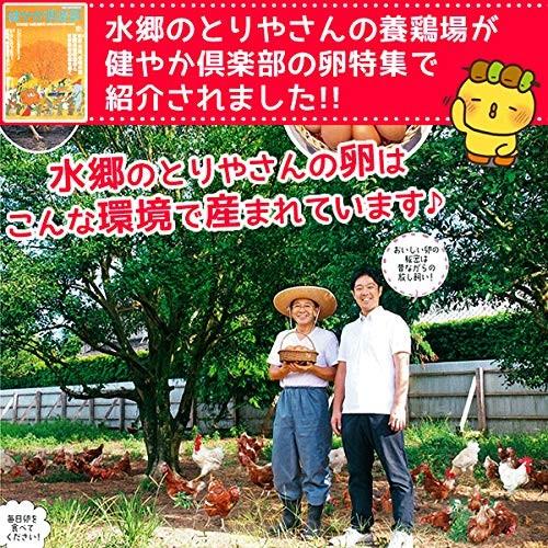 鶏肉 かたい親鳥 むね肉 皮付き 1kg 親どり ひね鶏 ひね鳥 国産 鶏肉 ※親鳥のため昔ながらの「硬い肉質」の鶏肉となります。ご了承ください