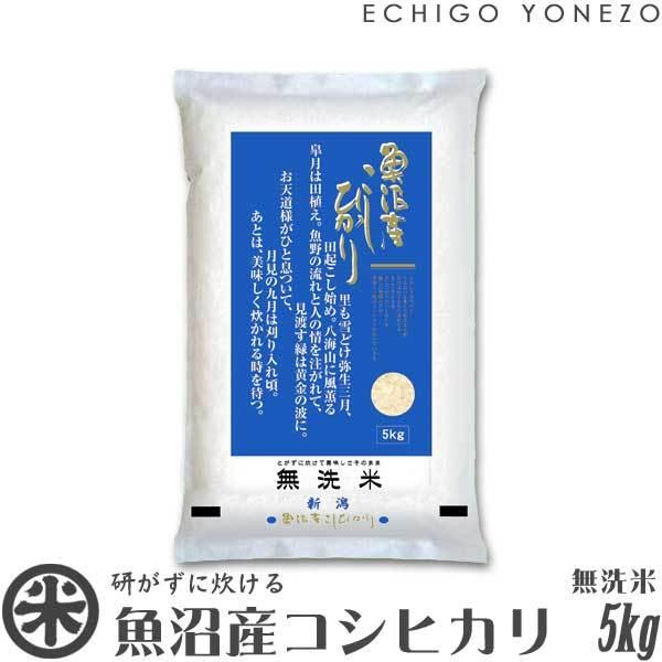 [新米 令和5年産] 無洗米 魚沼産コシヒカリ 5kg (5kg×1袋) [NTWP製法] お米 白米 新潟米 魚沼米 新潟県産 こしひかり 送料無料 ギフト対応