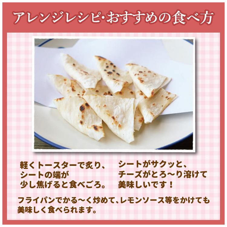 扇屋食品 チーとろカマンベール 約5g × 50枚入