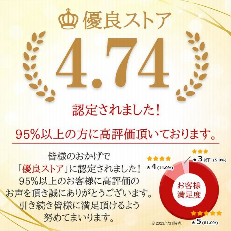釣糸 PEライン 釣り糸 100m 4本編み 日本製 マルチ 0.3号 0.6号 0.8号