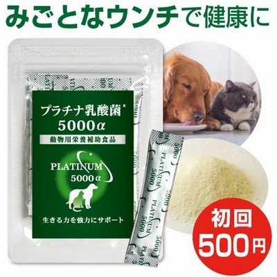 犬 猫 乳酸菌サプリ プラチナ乳酸菌5000a 顆粒タイプ１袋スティック5包入初回お試し ペットサプリ 国産 犬用 猫用 便秘 整腸 サプリメント 腸内環境サプリ 通販 Lineポイント最大0 5 Get Lineショッピング