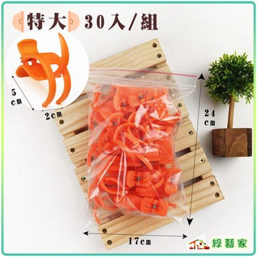 【綠藝家】橘色嫁接夾(蘭花夾.固定夾)-(特大)30入/組