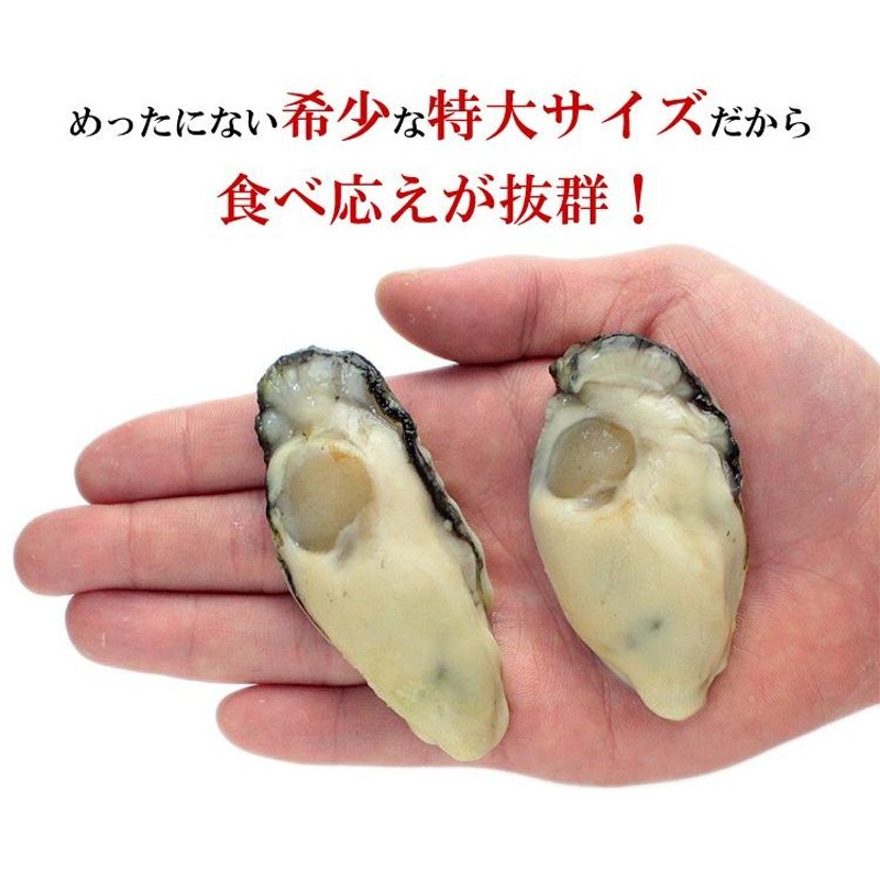 LINEショッピング　カキ　広島かき　プレゼント　牡蠣　バラ凍結　1kg　特大　（解凍後850g/約26〜35粒）　ジャンボ　FF　11月16日値上げ　かき