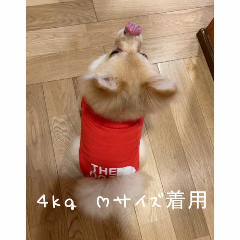 ドッグフェイス Tシャツ 犬服 犬 服 春夏秋 薄型 通気 おしゃれ 小型犬