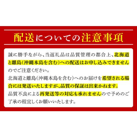 ふるさと納税 長崎県 南島原市 シャインマスカット 約2kg（約2〜5房）／ ぶどう ブドウ 葡萄 マスカット フルーツ 果物 ／ 南島原市 ／ 長崎県農産品流通合同…