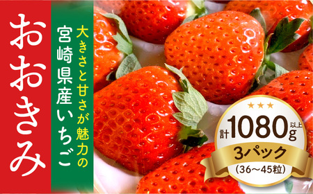 宮崎県産イチゴ「おおきみ」3パック1080g以上：36粒～45粒） いちご 苺