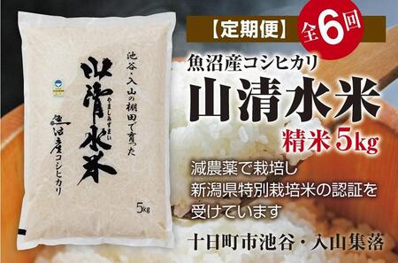 精米5kg　新潟県魚沼産コシヒカリ「山清水米」