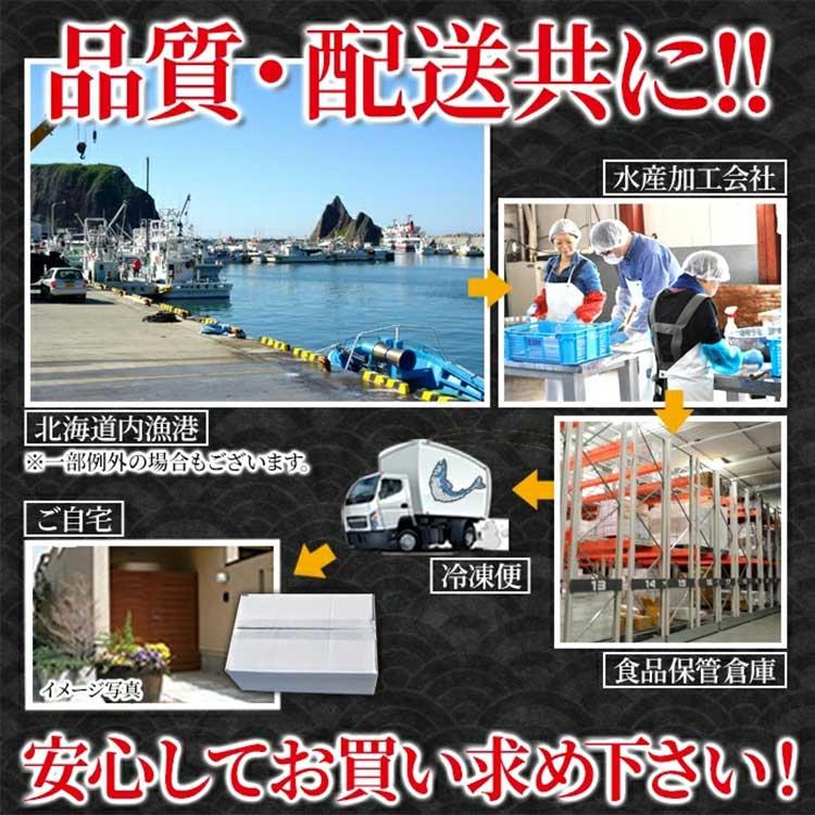 北海道産お刺身ほたて貝柱500g《冷凍》ギフト対応（送料無料）