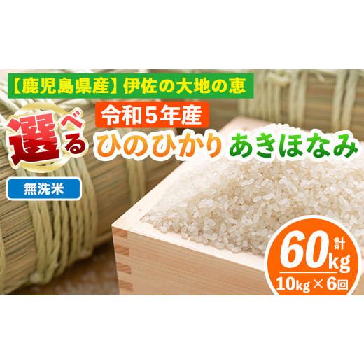 ふるさと納税 鹿児島県 伊佐市 isa518-02  ＜無洗米＞選べる精米方法！令和5年産 鹿児島県伊佐南浦産 ひのひかり5kg・あきほなみ5kg (合計60kg・…