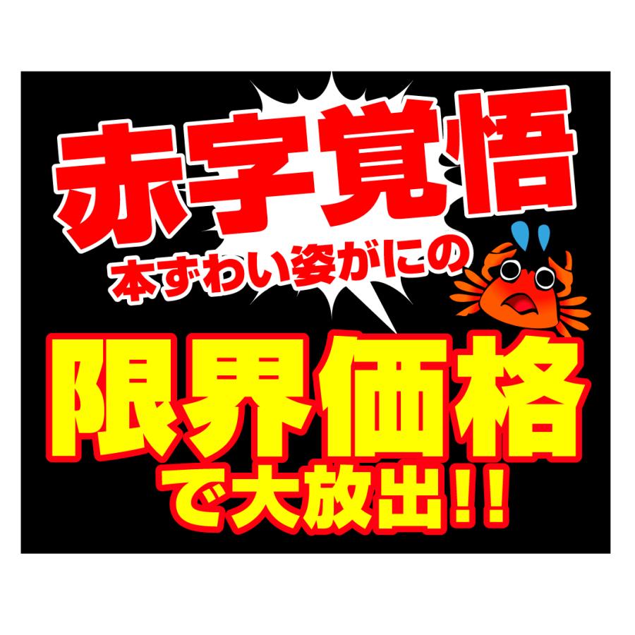 かに 3kg ボイルずわいがに 姿 大特価 メガ盛 6~8尾 蟹 ゆでがに 送料無料 冷凍便 食品