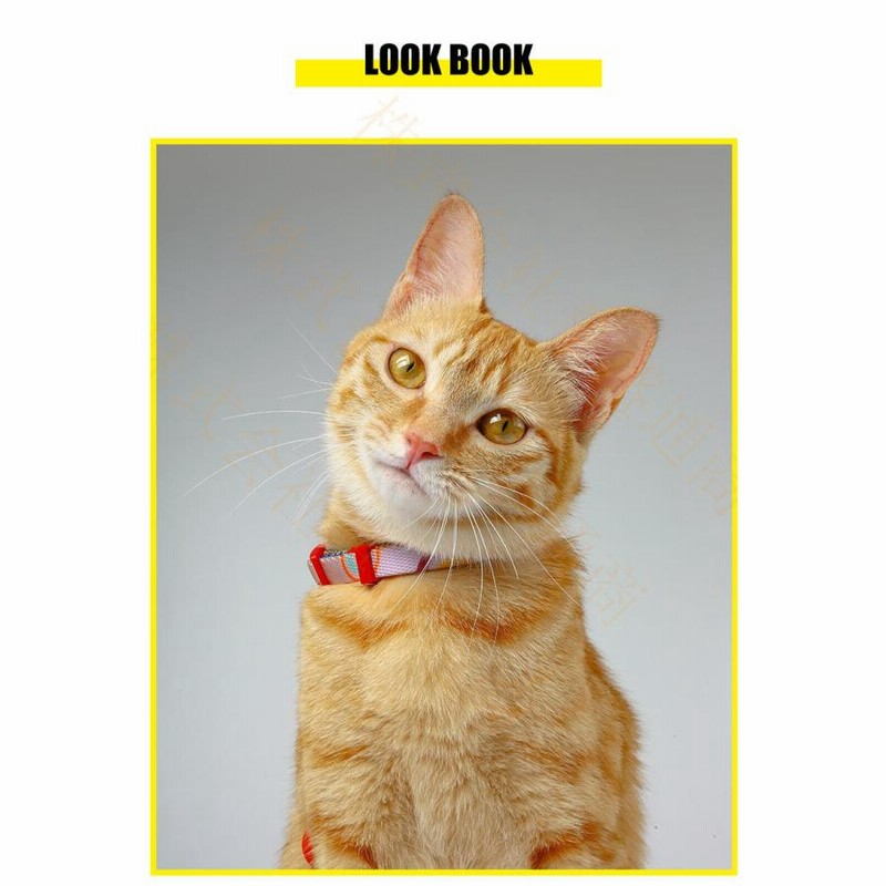 ハーネス リード 胴輪 首輪 猫用 ねこ キャット ペット 8の字ハーネス 通気性 リード ハーネスセット ドッグラン おしゃれ かわいい お散歩  脱着簡単 衝撃吸収 首輪、ハーネス、迷子札