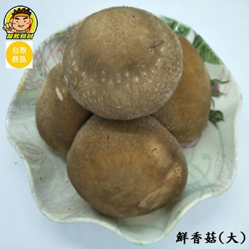 【蘭陽餐飲食材行】大中小鮮香菇 ( 約600克/包 ) 下單後才新鮮進貨 / 火鍋的好朋友 / 火鍋料 / 切片爆香 ( 此為冷藏自取品號 )
