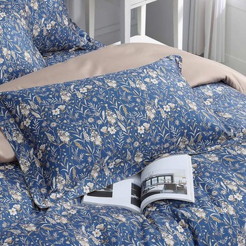 鴻宇 SUPIMA500織 匹馬棉 歐式壓框枕套2入 弗蘭基