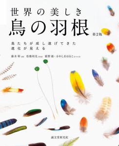 世界の美しき鳥の羽根 鳥たちが成し遂げてきた進化が見える 藤井幹 松橋利光 舘野鴻