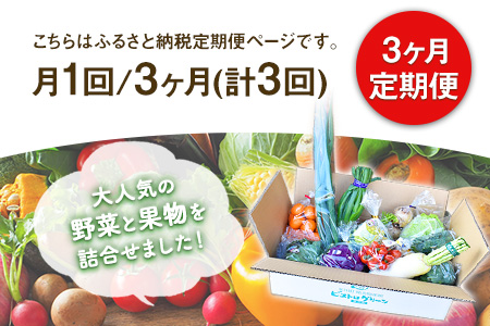 3ヶ月定期便 旬の新鮮野菜・果物詰合せセット (計3回お届け)たっぷり8-12品目 熊本県氷川町産 道の駅竜北《お申込み月の翌月から出荷開始》---sh_cmitiysiatei_21_50000_mo3num1---