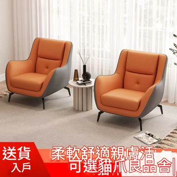 開立統編 網紅懶人舒適新款高級輕奢單人沙發休閑小戶型臥室客廳家用組合 28公司貨