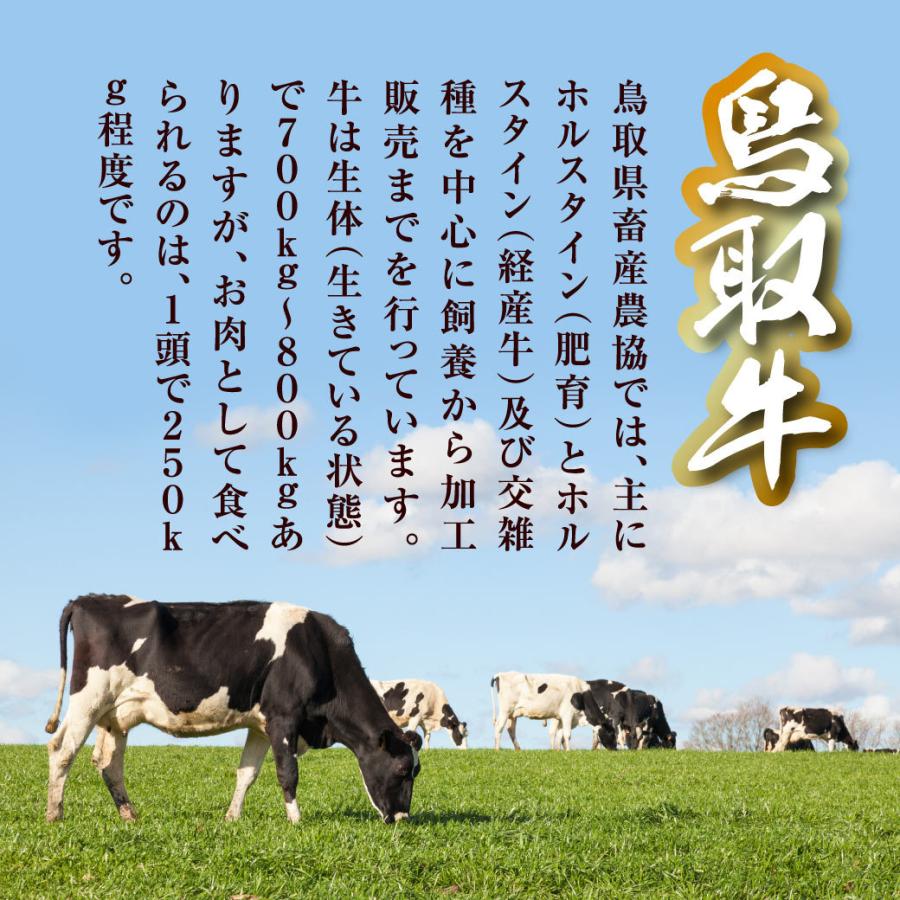 牛丼 豚丼 とり丼 丼の素 セット 9個入 牛肉 豚肉 鶏肉 鳥取牛 惣菜 国産牛 鳥取県産 ギフト 送料無料（北海道・沖縄を除く）