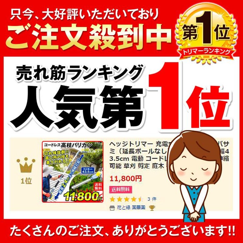 ヘッジトリマー 草刈り機 高枝バリカン（延長ポールなし） 1個 充電式 18V 最長2.4m 刈込幅43.5cm 高枝切りバサミ 電動 コードレス  ctb 国華園 | LINEブランドカタログ