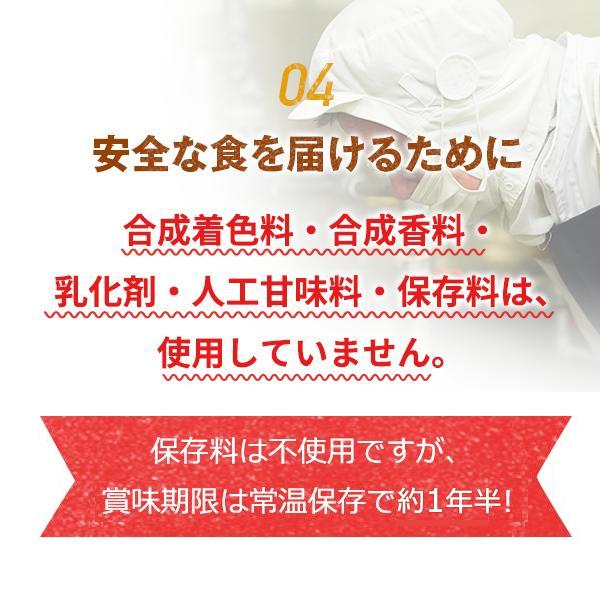 カレー ごと カレー レトルト 詰め合わせ お試し 4食セット 国産 保存料 無添加 五島 鯛のだし カレー ギフト 御歳暮 内祝い にも レトルト食品 災害 非常食