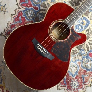 Takamine タカミネ DMP50S WR エレアコギター 島村楽器限定モデル