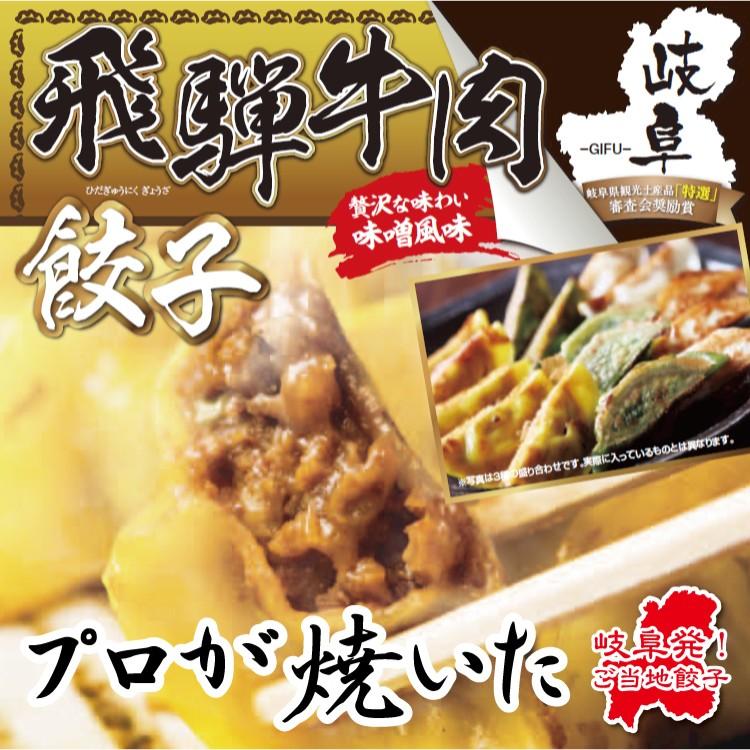 飛騨牛肉餃子 10個入り(180g)　岐阜 餃子 お取り寄せ 冷凍