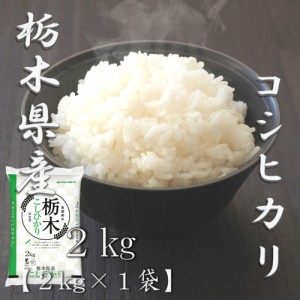 米 お米 令和5年産 栃木県 コシヒカリ 2kg 合計 2kg