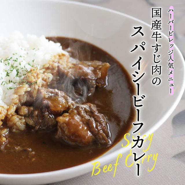 カレー レトルトカレー 10袋 有名レストラン 食べ比べ セット シェフ こだわり 牛すじカレー 国産 博多 ハーバービレッジ  paypay Tポイント消化