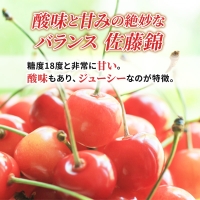 さくらんぼ 先行予約 佐藤錦 松山商店 サクランボ 600g L 厳選品 北海道 仁木町 チェリー 果実 果物 フルーツ お取り寄せ 仁木 2023年7月出荷