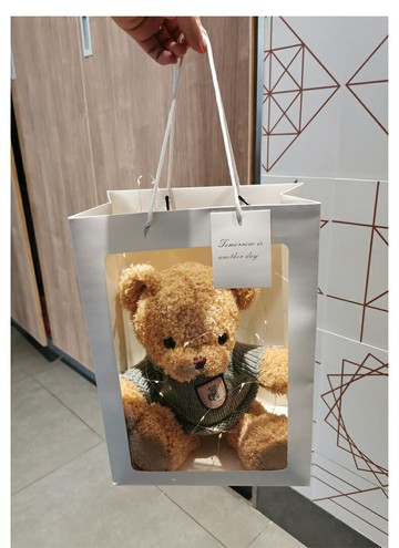 禮盒小熊公仔玩偶 泰迪熊毛絨玩具娃娃送女朋友生日圣誕節禮物【淘夢屋】