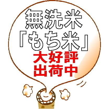 もち米6升 9kg 無洗米 もち米3kg×3個 約6升 送料無料