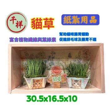 【千祥紙紮】 紙紮貓草 紙紮貓咪零食 往生用品