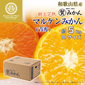 [予約 12月1日-12月20日の納品] マル賢青秀 約 5kg Mサイズ 樹上完熟 マルケン和歌山県産 マルケン まるけん 上級品 みかん 冬ギフト お