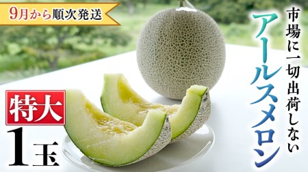  秋にお届け！  リピーター 多数 の 完熟 特大 アールスメロン １玉入箱 茨城 メロン 青肉 期間限定 数量限定 マスクメロン [AF087ci]