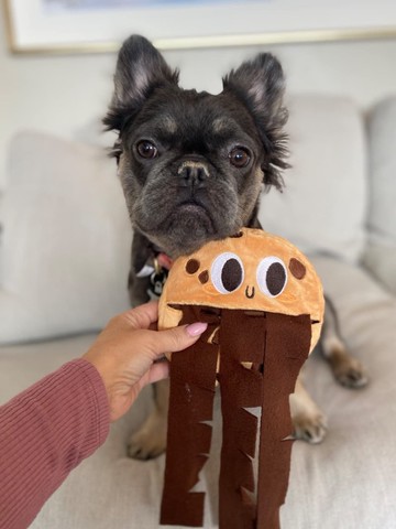 【狗玩具】 CHEWFFON 怪獸餅乾