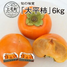 旬の味覚「大平柿」6kg