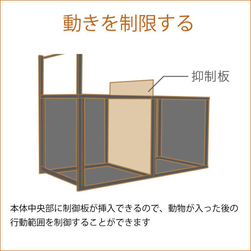 防獣・防鳥用品栄ヒルズ 箱罠(両開) Eタイプ602 IS-2 塗装仕上げ  大型重量商品