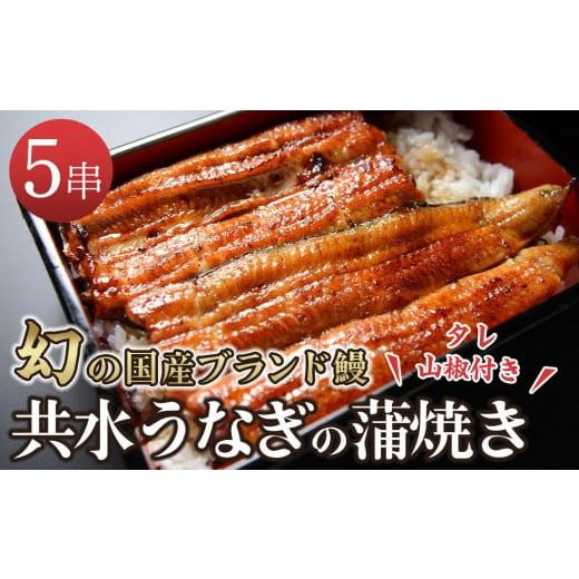 ふるさと納税 栃木県 栃木市 幻の国産ブランド鰻　共水うなぎのかば焼き　5串（約115g×5）タレ・山椒付き　極上の甘みとうまみ、ふっくらとした食感