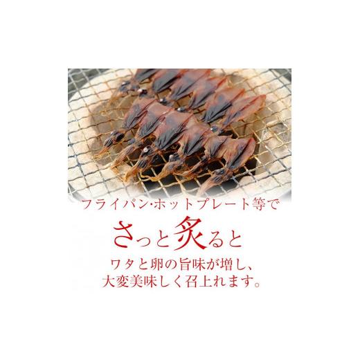 ふるさと納税 富山県 氷見市 越中氷見屋　ホタルイカ 魚醤干し 18尾入り × 18袋　